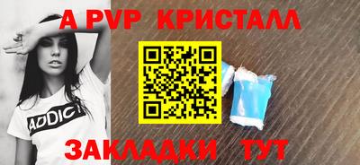a pvp Кингисепп