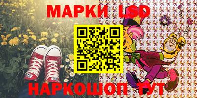 a pvp Кингисепп