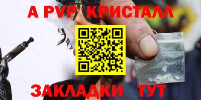 a pvp Кингисепп